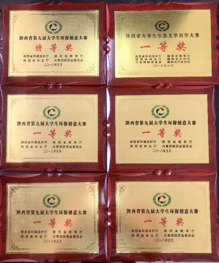 奖状3.jpg